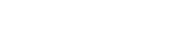 younggenius.store